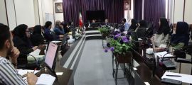 برگزاری جلسه کارگروه تخصصی سلامت روان در بحران در معاونت درمان